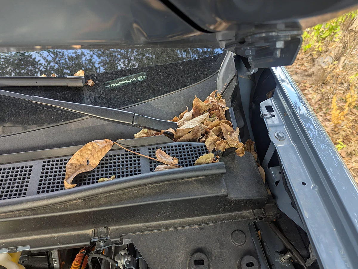 Ford Maverick Baskets to keep leaves out of your engine bay PXL_20251020_135604079