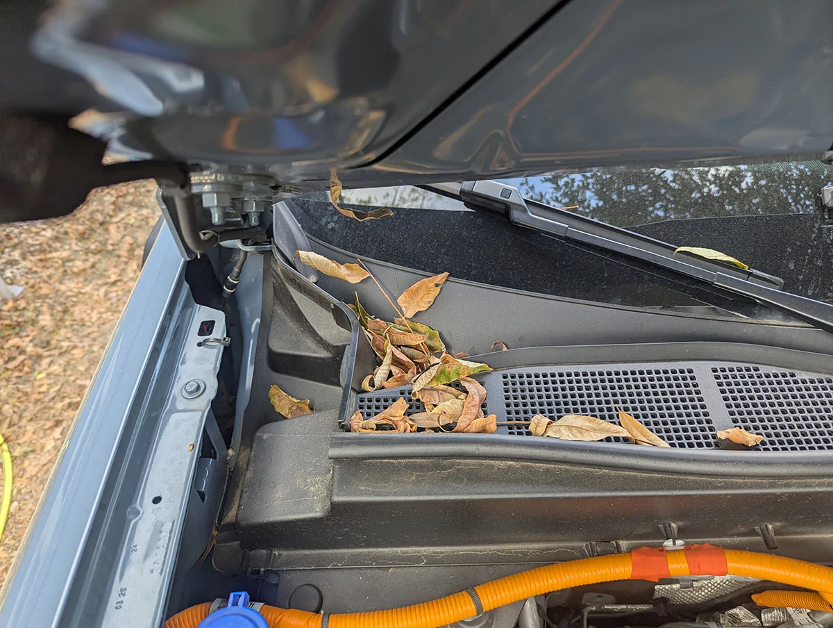 Ford Maverick Baskets to keep leaves out of your engine bay PXL_20251020_135558022