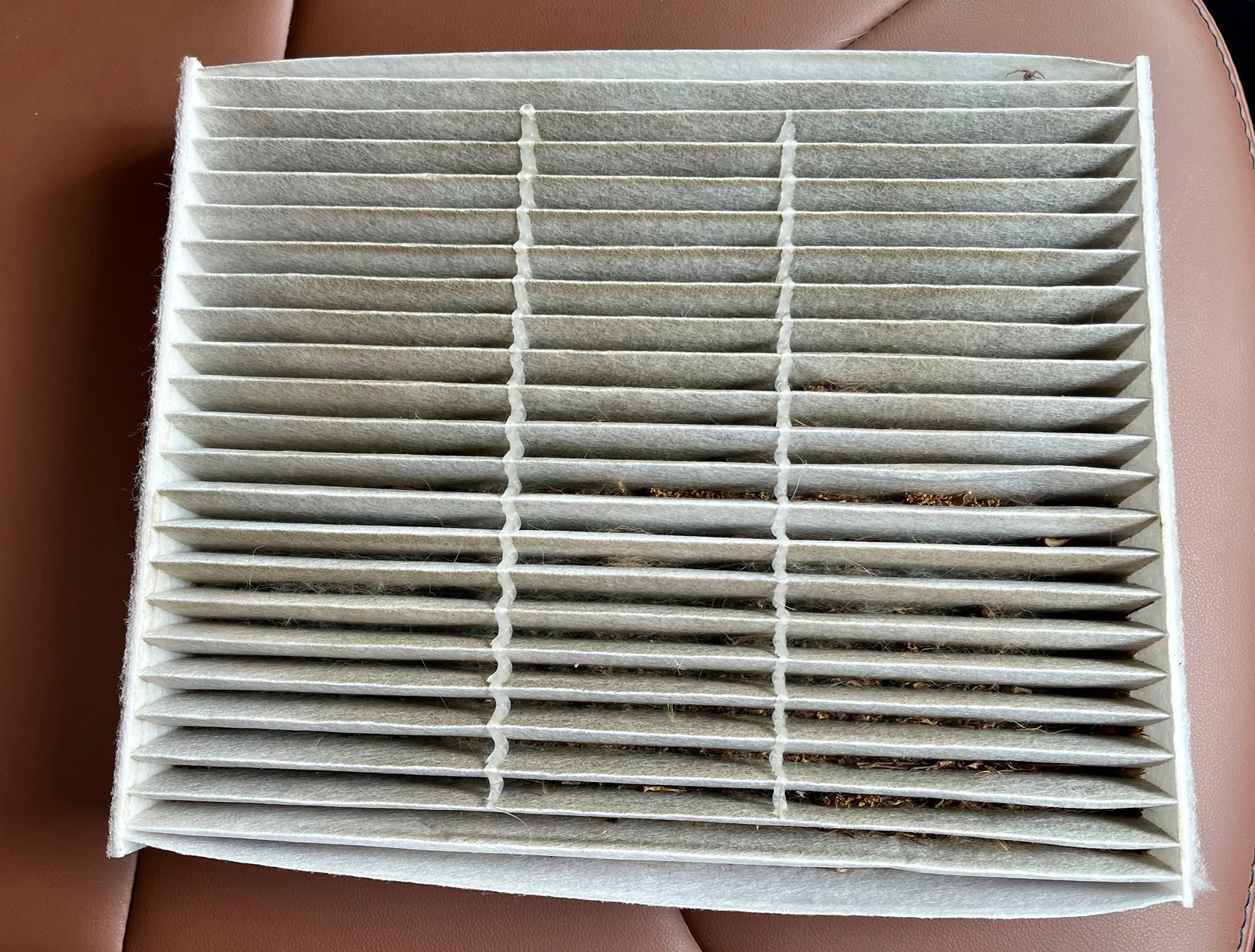 Ford Maverick 21,600 cabin filter change. IMG_5512