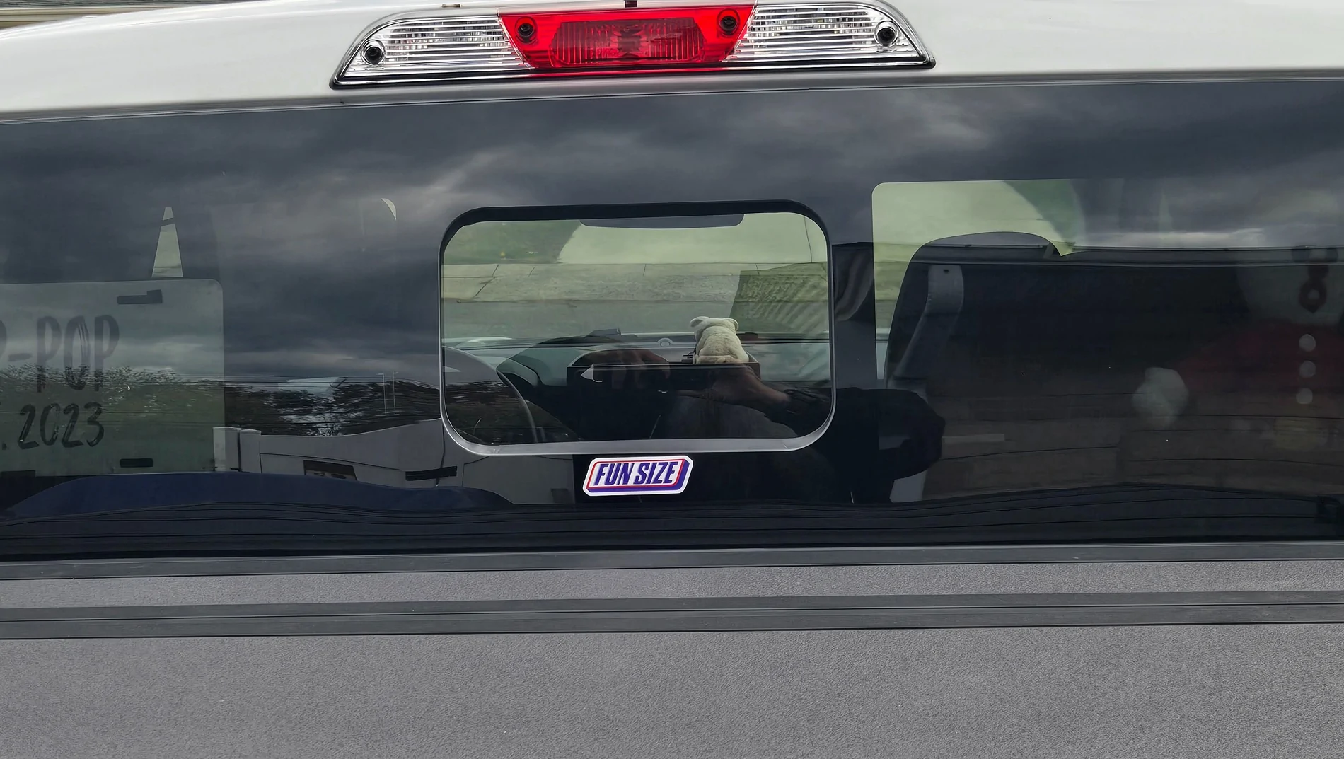 Ford Maverick Back widow decal 1000009063