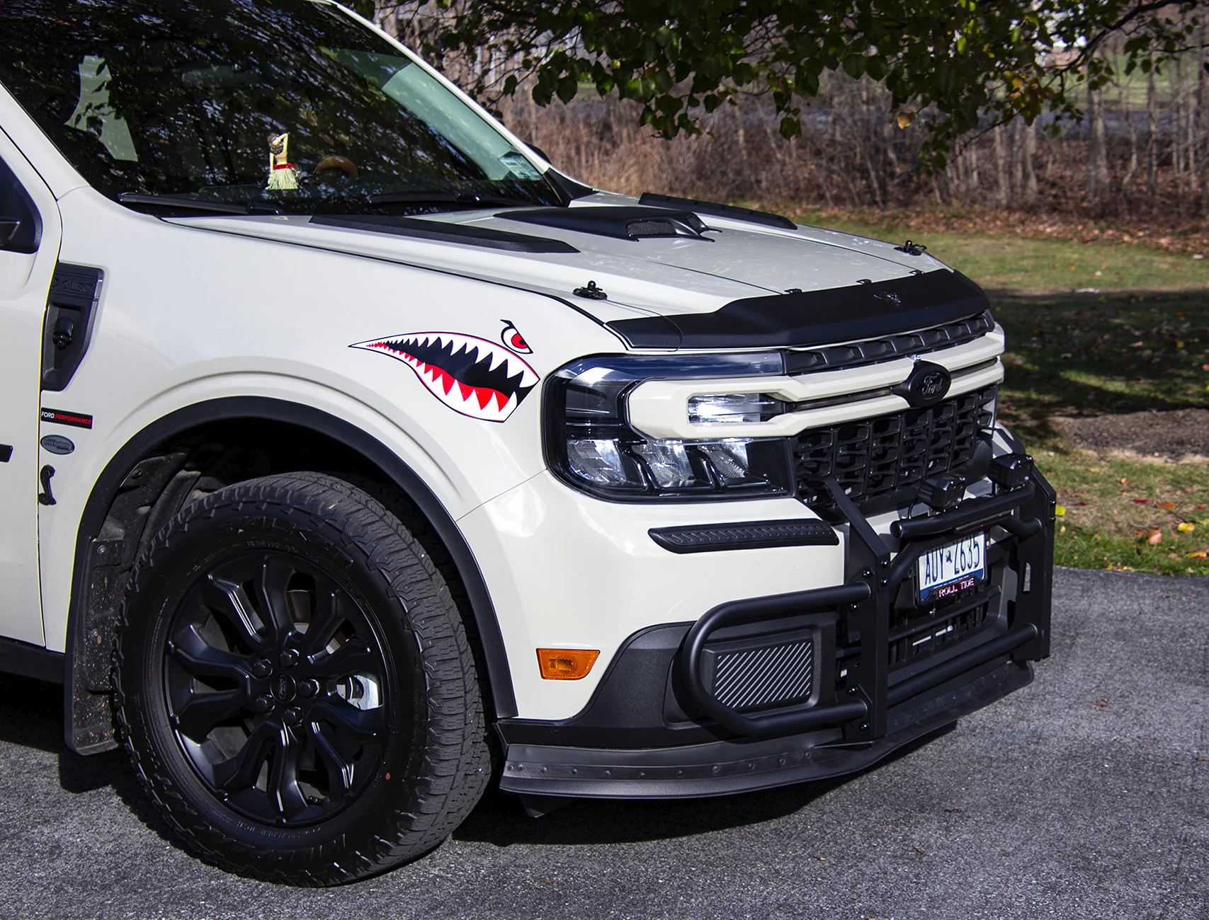 brush guard.webp