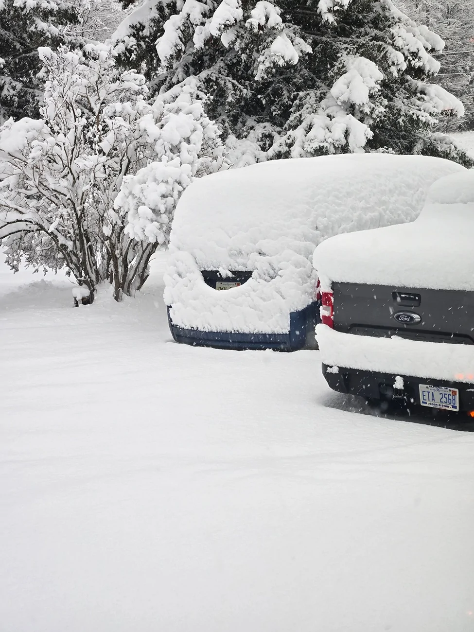 Ford Maverick Mave's first snow. Very happy with Maverick Tremor! 20251130_090923