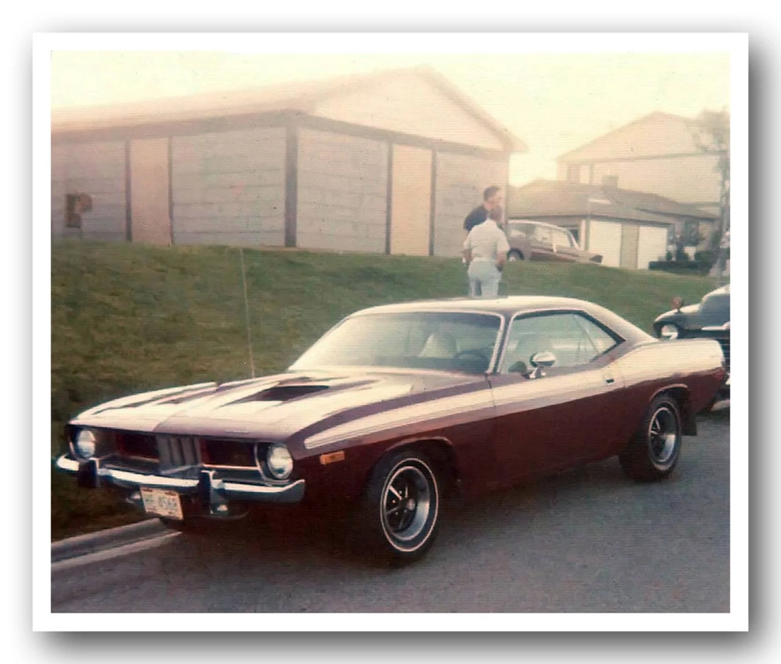 Ford Maverick Deer collision damage results in $6k repair. Insurance lessons learned New-RobinMcQueen