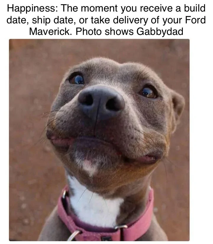 Ford Maverick Maverick Memes -  fun diversion while we wait [ ** NO POLITICS ** ] 2F009DA0-B895-4B5A-AE49-F021D2B1BF8C