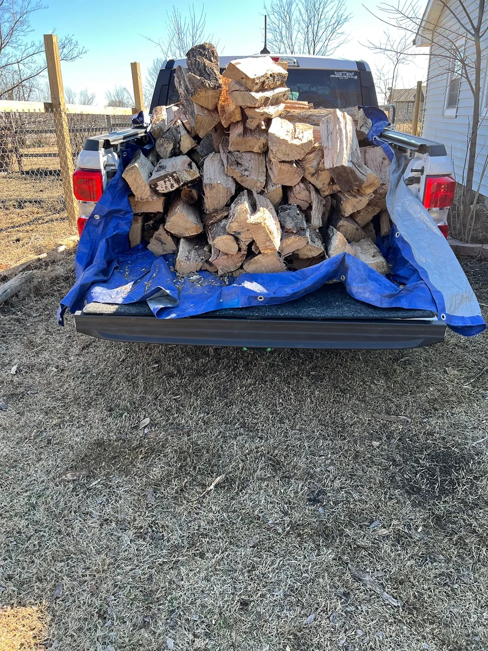 Ford Maverick Maverick as a firewood truck?! IMG_1213