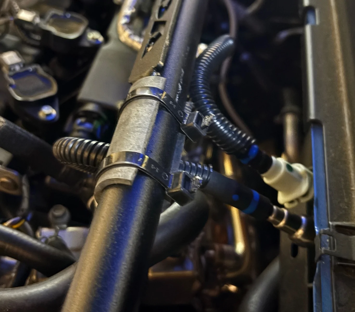 Ford Maverick Steeda Strut Tower Brace - Black (2020-2025) installed IMG_2133