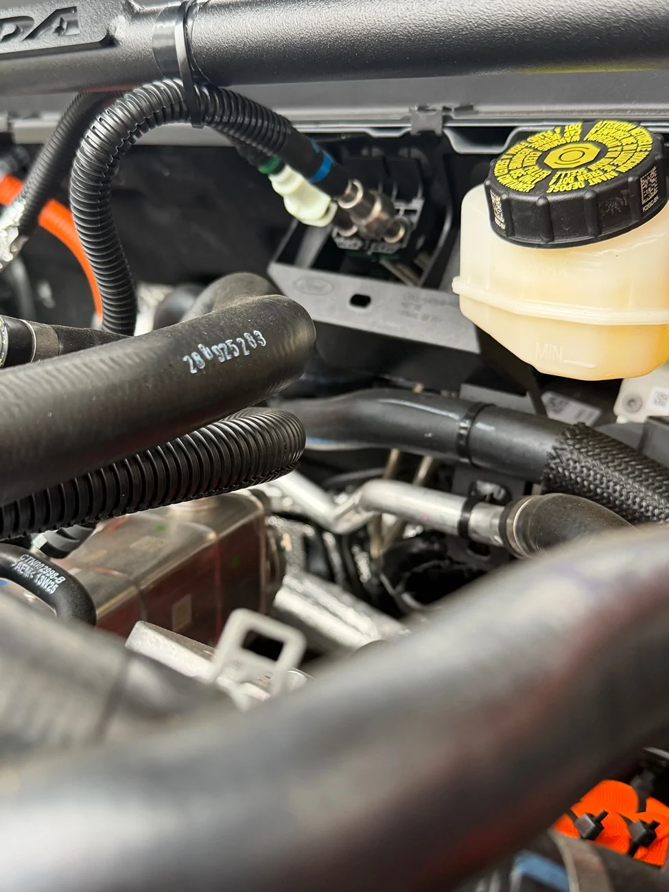 Ford Maverick Steeda Strut Tower Brace - Black (2020-2025) installed IMG_0066