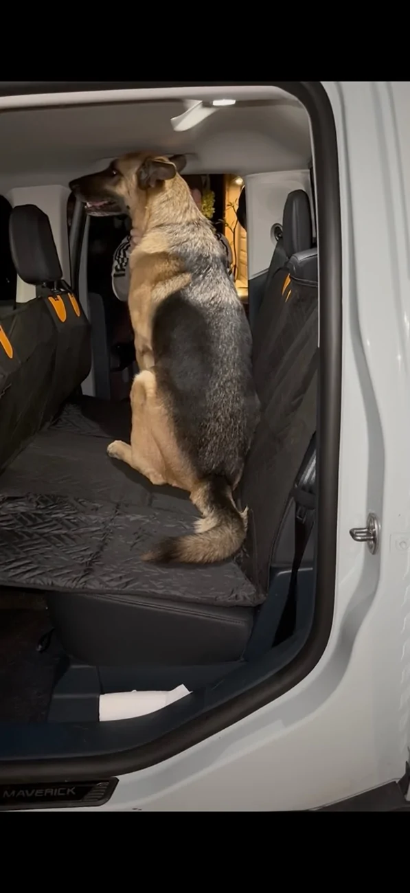 Ford Maverick Dog Rear Seat Extender / Cover IMG_7756