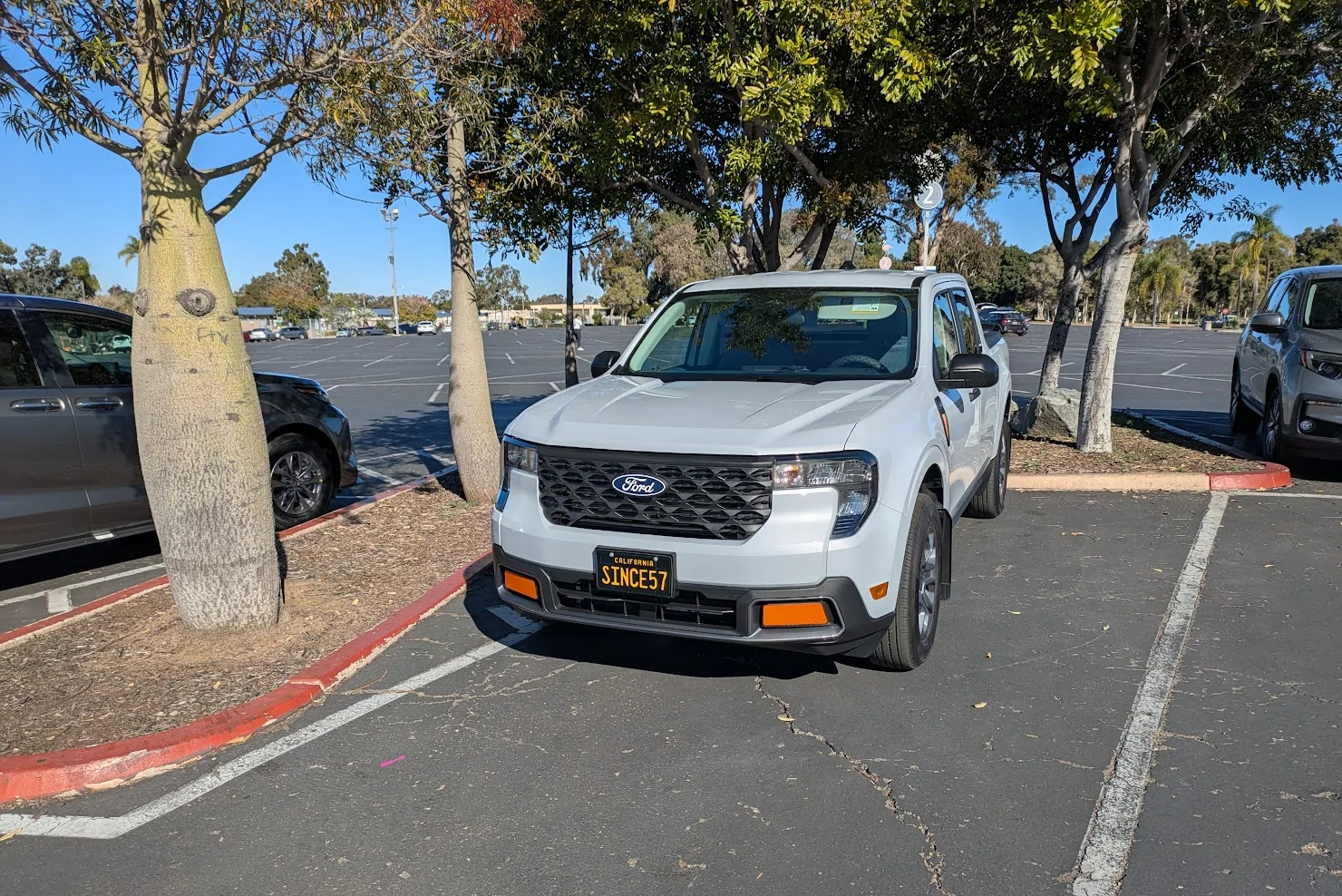 Ford Maverick Maverick Day at San Diego Zoo Mav
