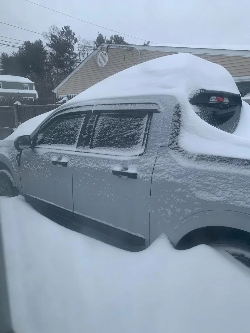 Ford Maverick Cover for Wiper Well MAVERICK SNOW