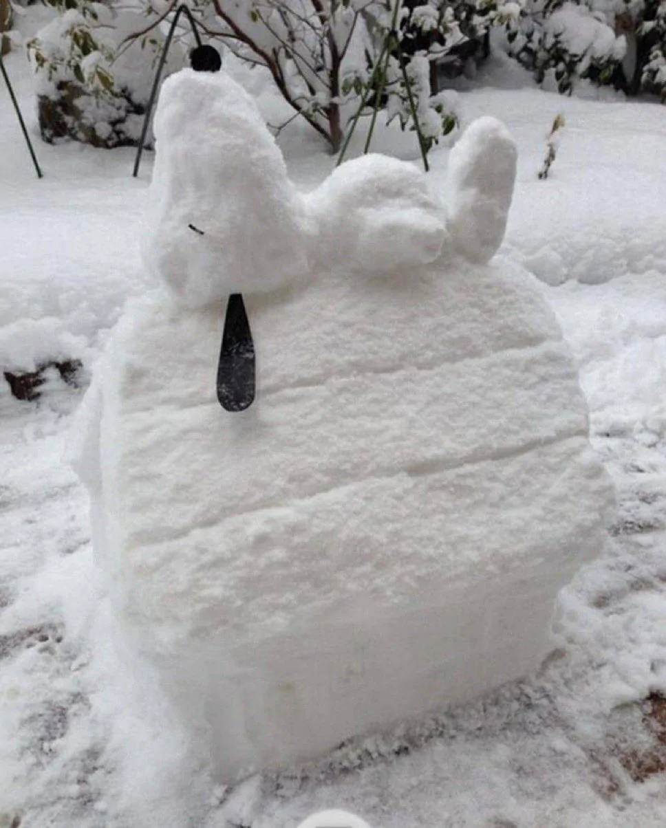 Ford Maverick test thread snoopysnowman