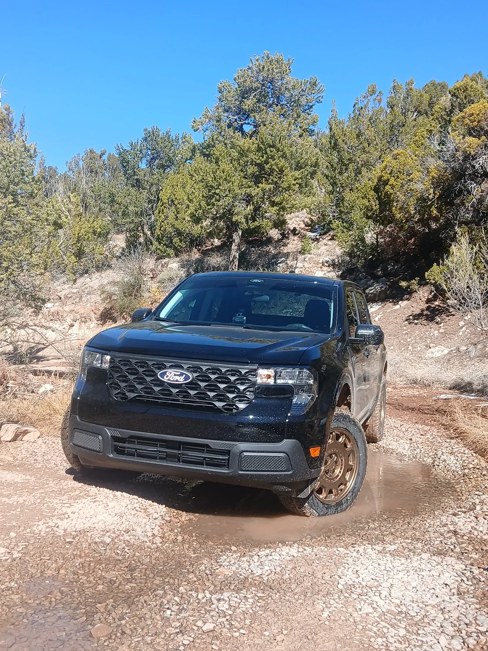 Ford Maverick First Post, First Ford 242