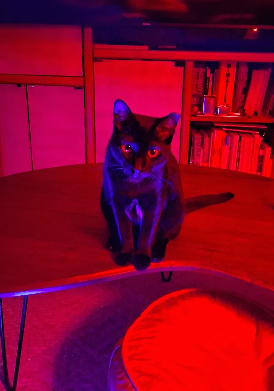 Ford Maverick Made a Spare Wallet Key! For a savings of negative -$99 20250914_193951