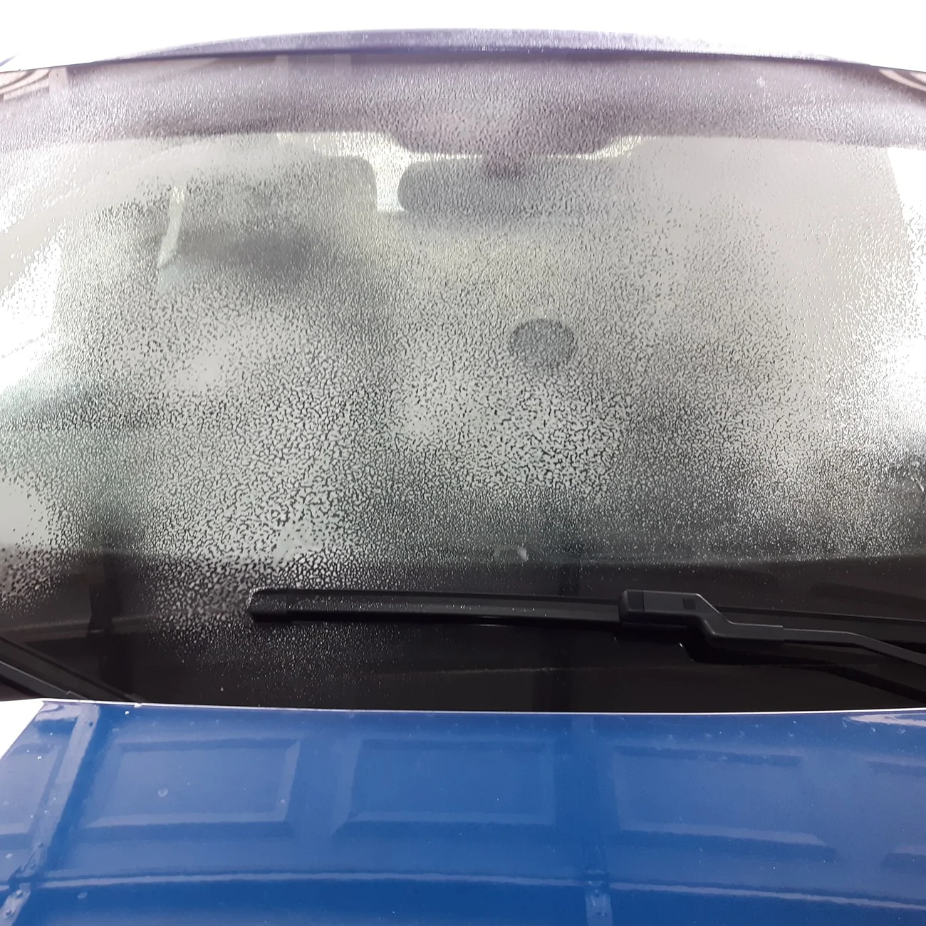 Ford Maverick Windshield vinyl brow. Does the camera still work? 20251230_111446