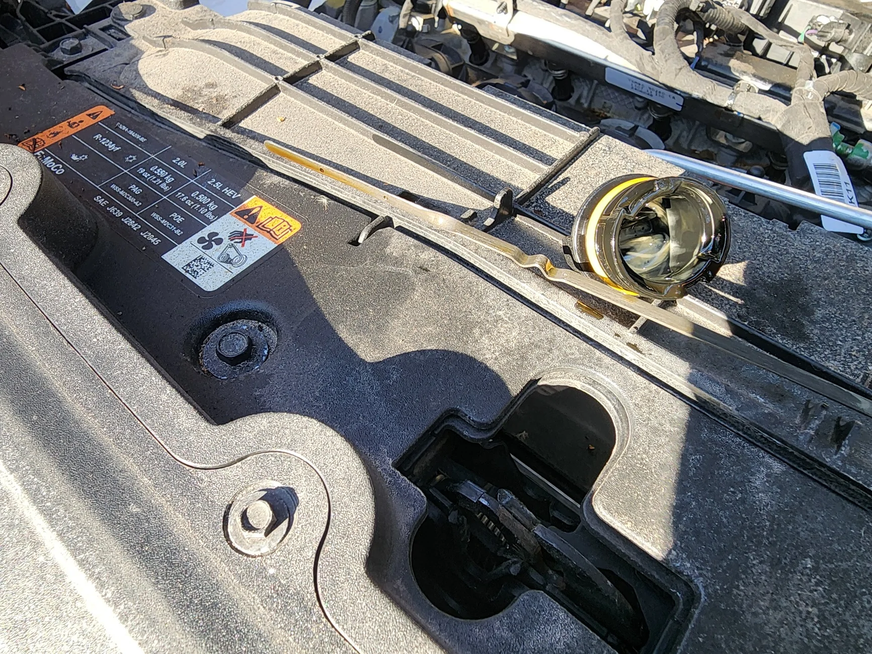 Ford Maverick 2024 Hybrid 2.5 engine milkshake 20260213_145637