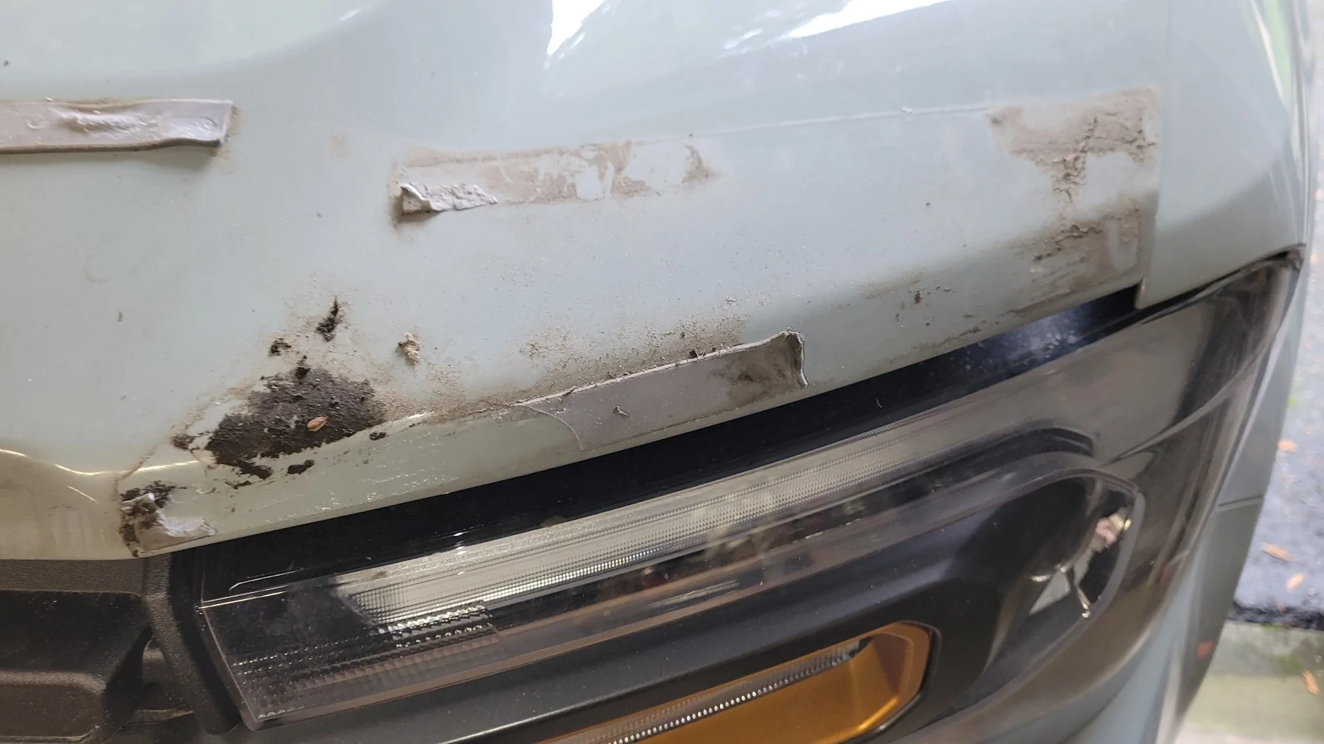 Ford Maverick Where to buy Bug Shield (VNZ6Z-16C900-C) ? 20251105_141738