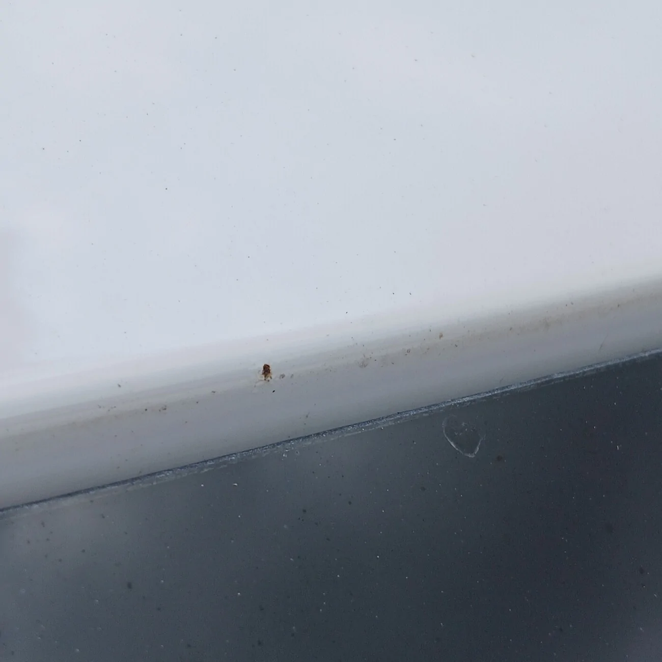 Ford Maverick Rust spots. HELP! 20260302_110623