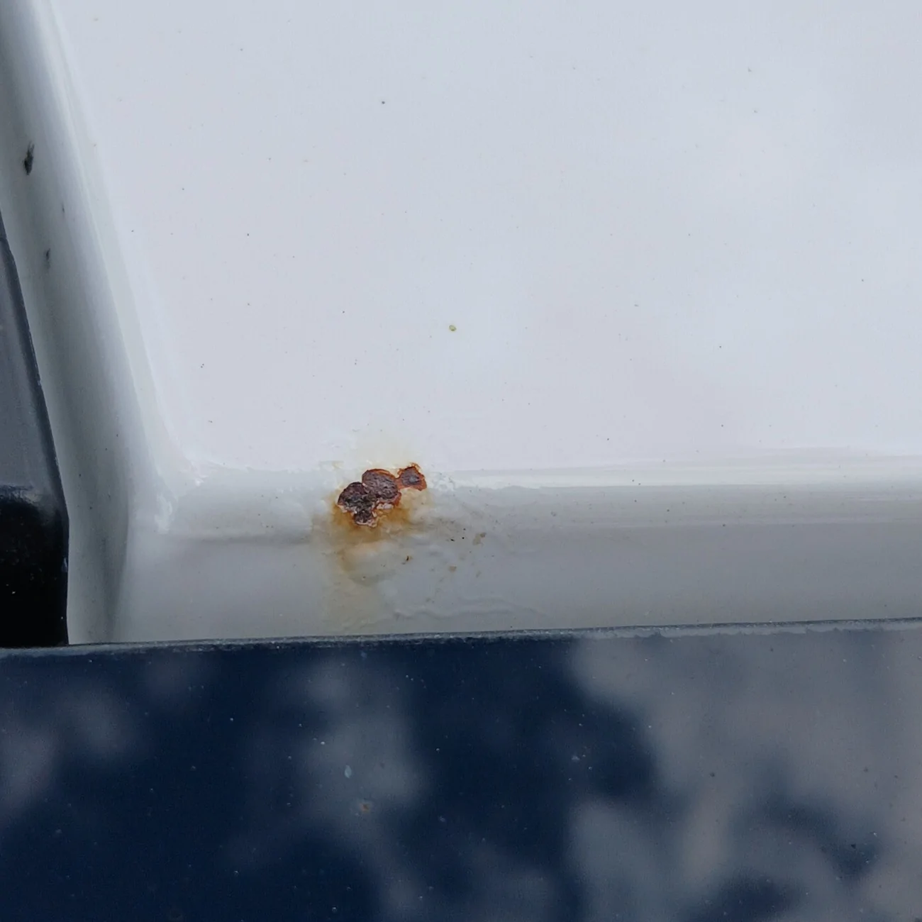 Ford Maverick Rust spots. HELP! 20260302_110615