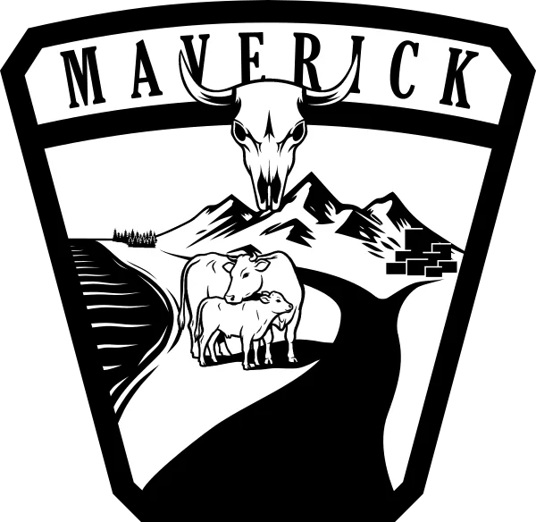 Ford Maverick Maverick badge test