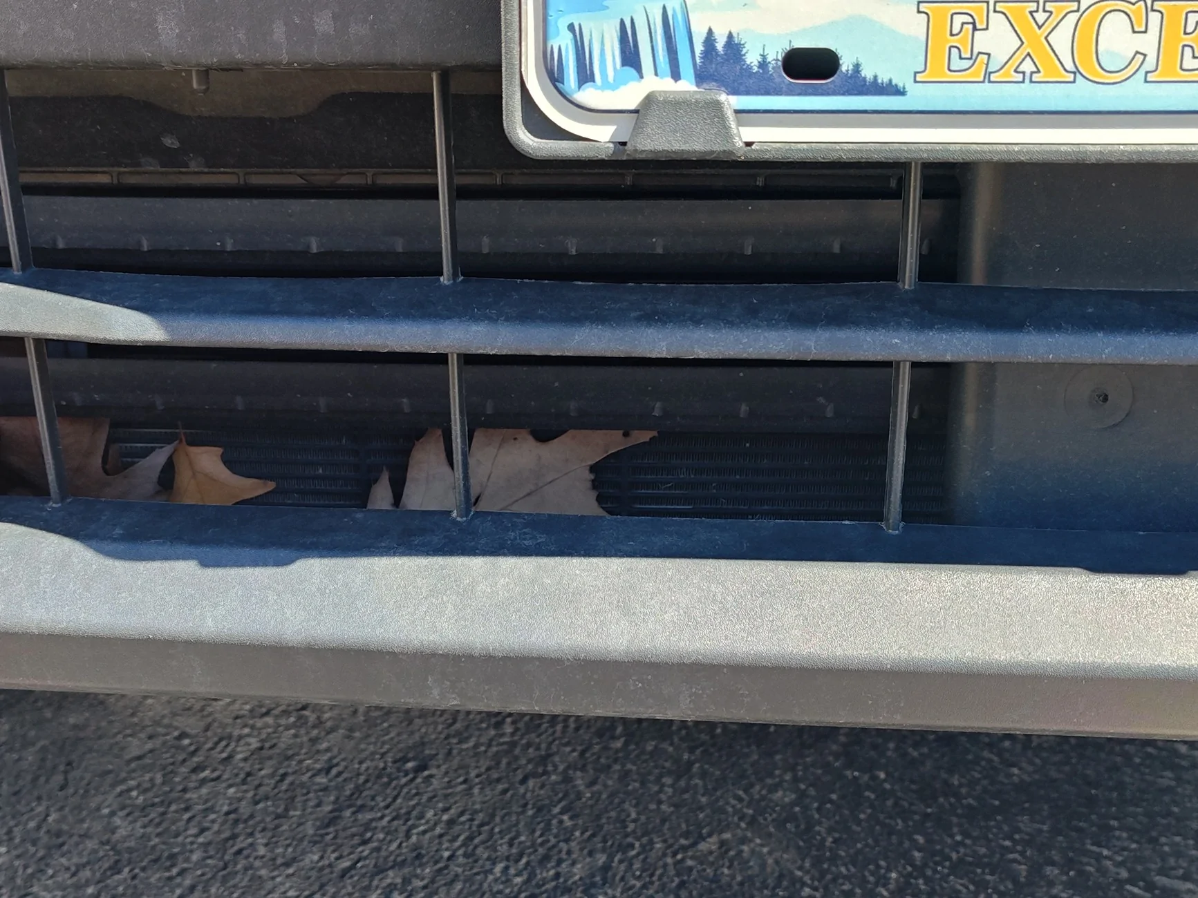 Ford Maverick Leaves / Debris Getting Stuck In Lower Front Grill 1000006902