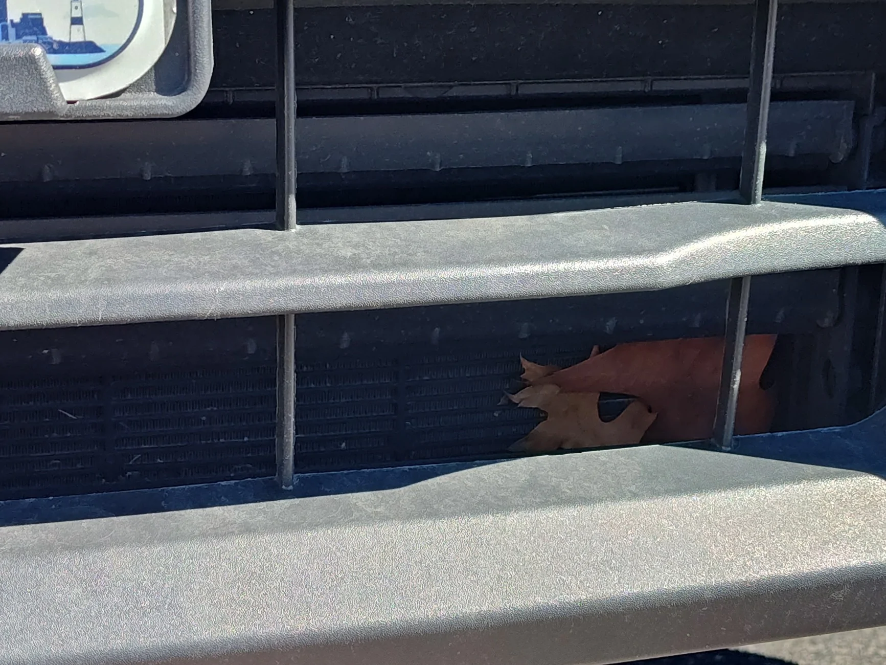 Ford Maverick Leaves / Debris Getting Stuck In Lower Front Grill 1000006903