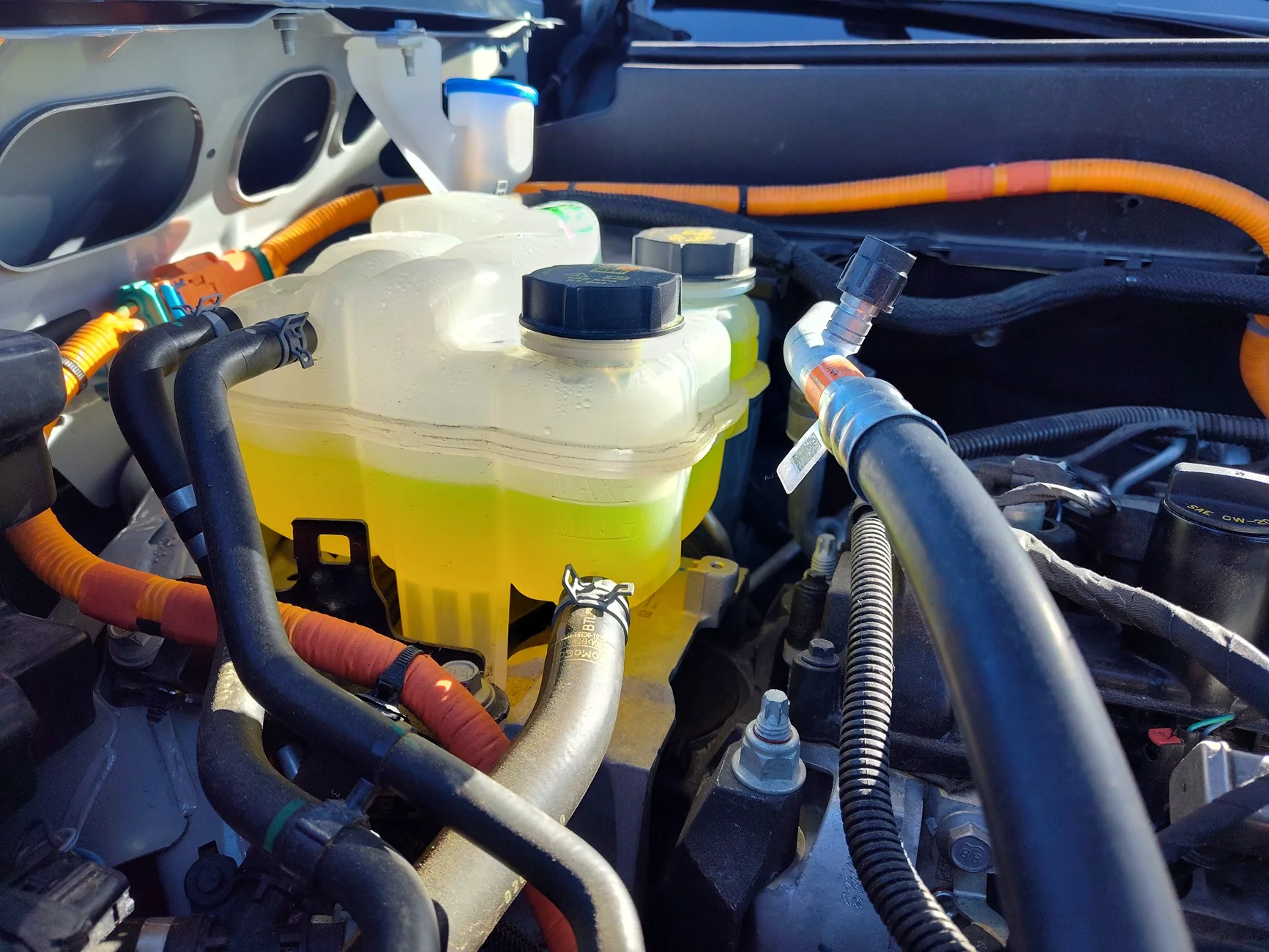 Ford Maverick 2024 Hybrid 2.5 engine milkshake IMG_20260220_093456670_HDR