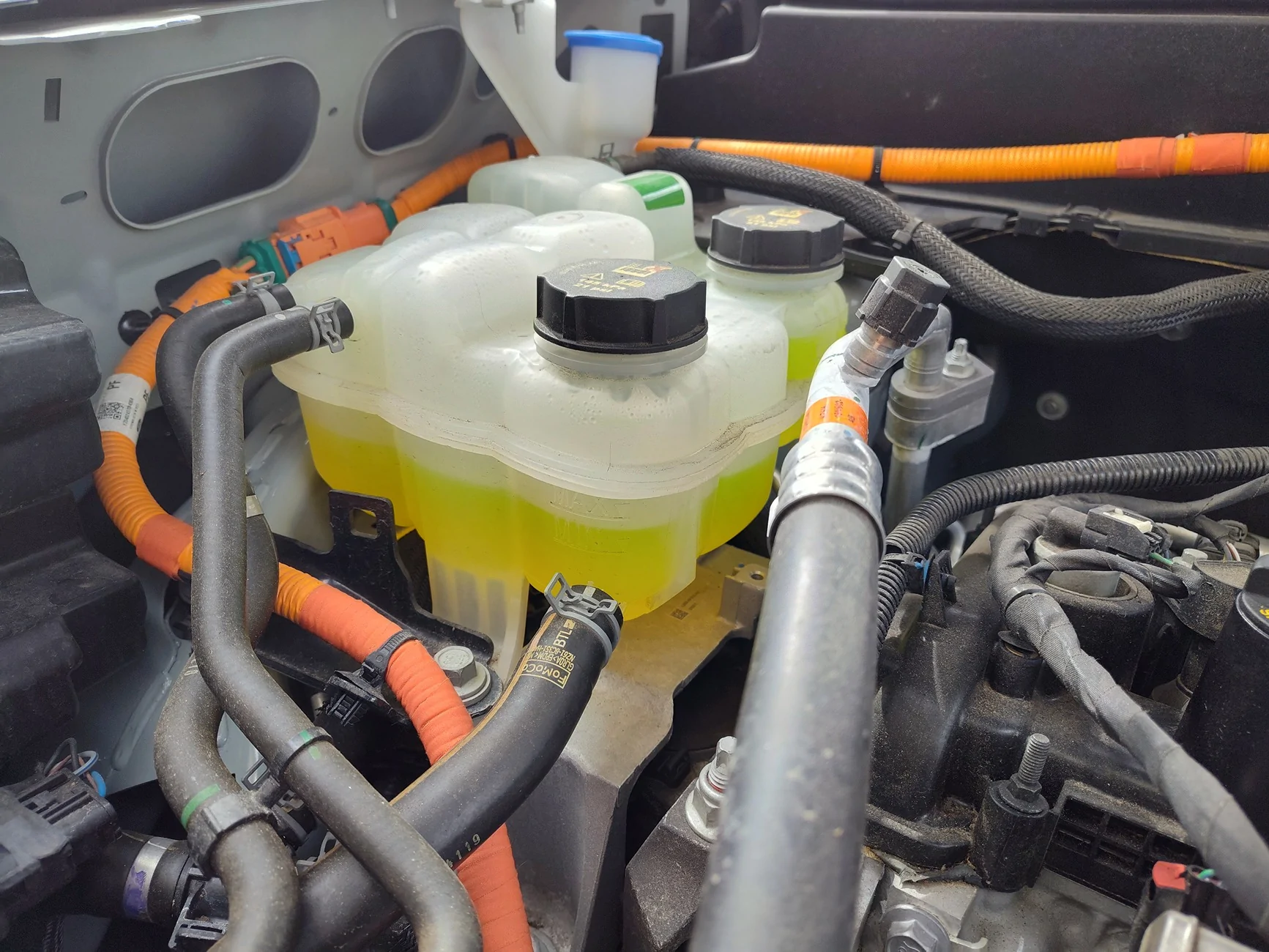 Ford Maverick 2024 Hybrid 2.5 engine milkshake IMG_20260307_141050736_HDR
