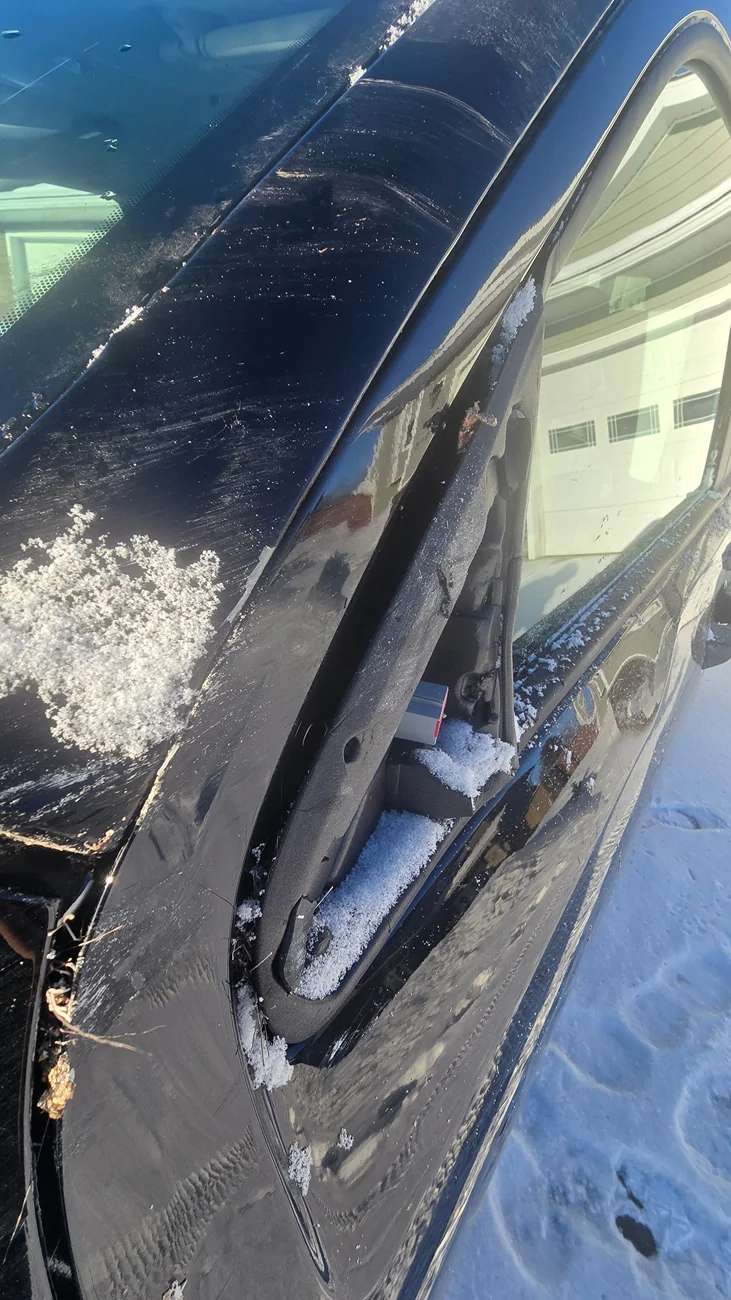 Ford Maverick Repaired Update! 25 Mav XLT vs 2 ton meat wall (moose) 20260313_090941