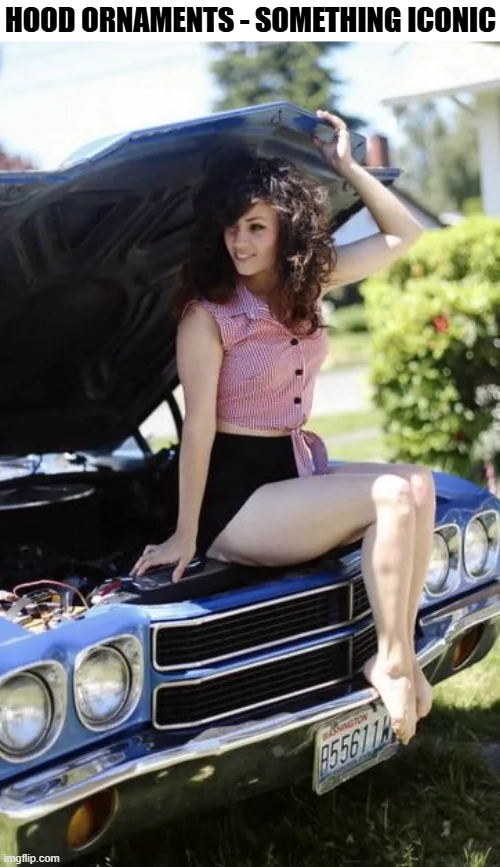 Ford Maverick Maverick Memes -  fun diversion while we wait [ ** NO POLITICS ** ] download - 2026-03-15T032844.260