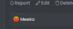 Ford Maverick Are Canadians going to stop vacationing in Florida? 1773669370954-vs