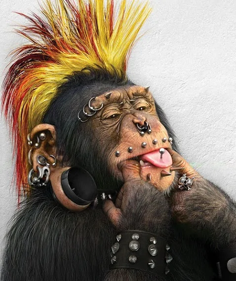 punk-monkey.webp