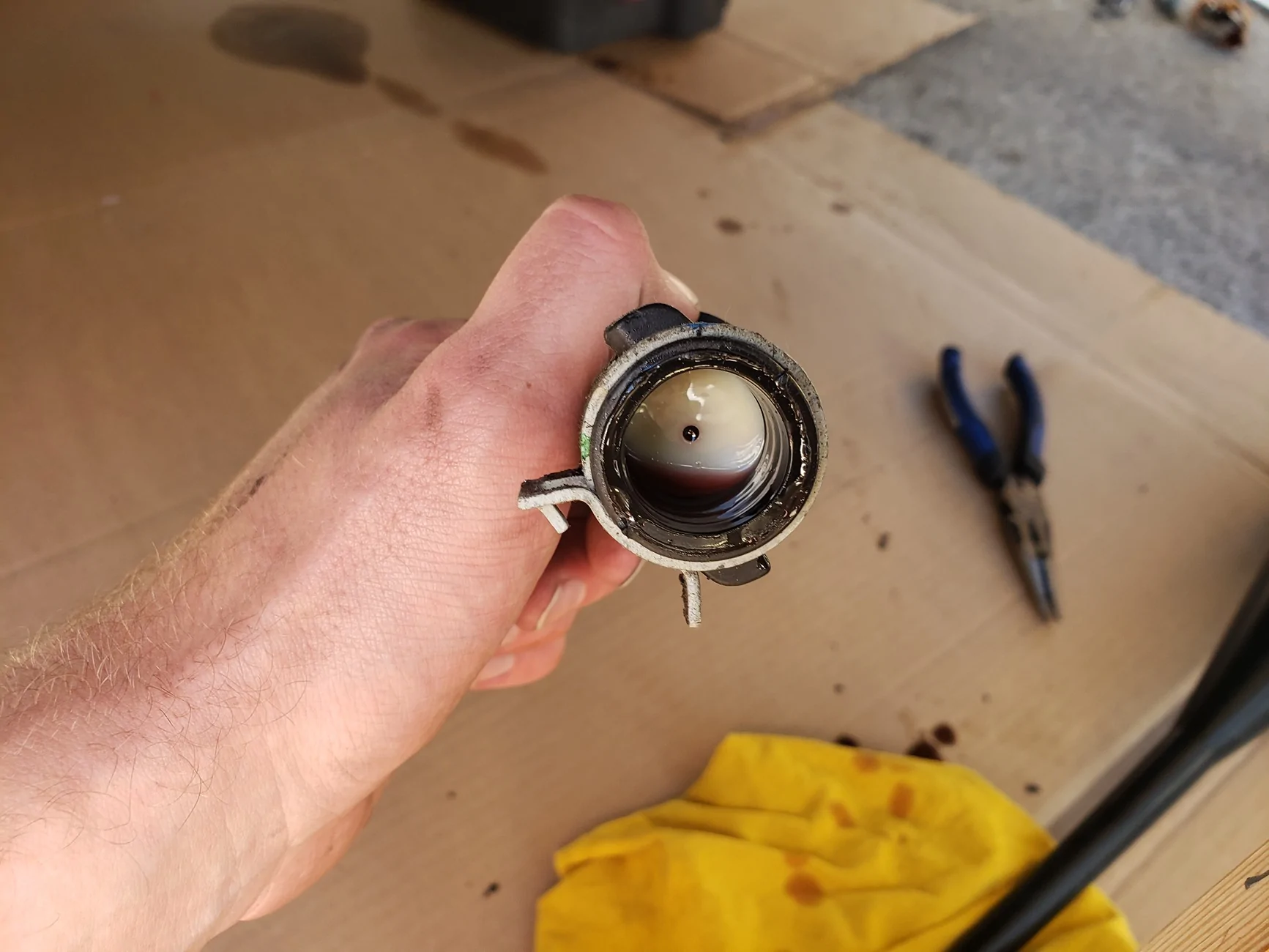 Ford Maverick Transmission fluid question for the experts 20241019_150510
