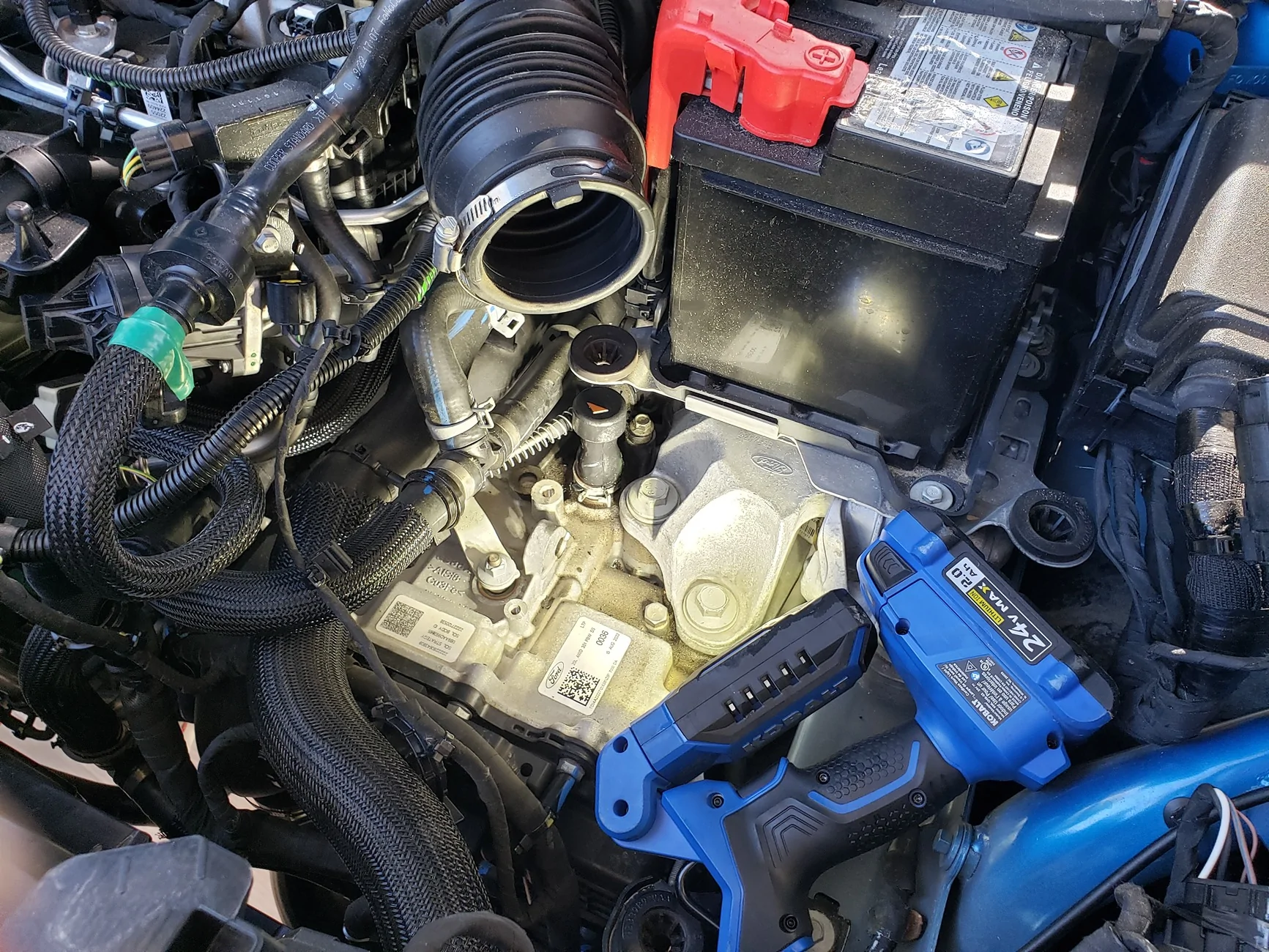 Ford Maverick Transmission fluid question for the experts 20241019_151734