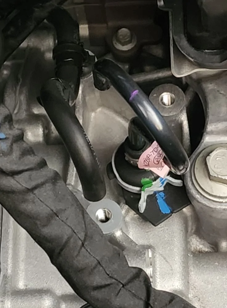 Ford Maverick Transmission fluid question for the experts 1775406894135-wa