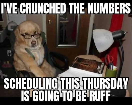 Ford Maverick Maverick Memes -  fun diversion while we wait [ ** NO POLITICS ** ] Financial Advice Dog 21122021065811