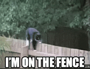 Ford Maverick The seat back doesn’t latch back in place. Help! cat-im-on-the-fence