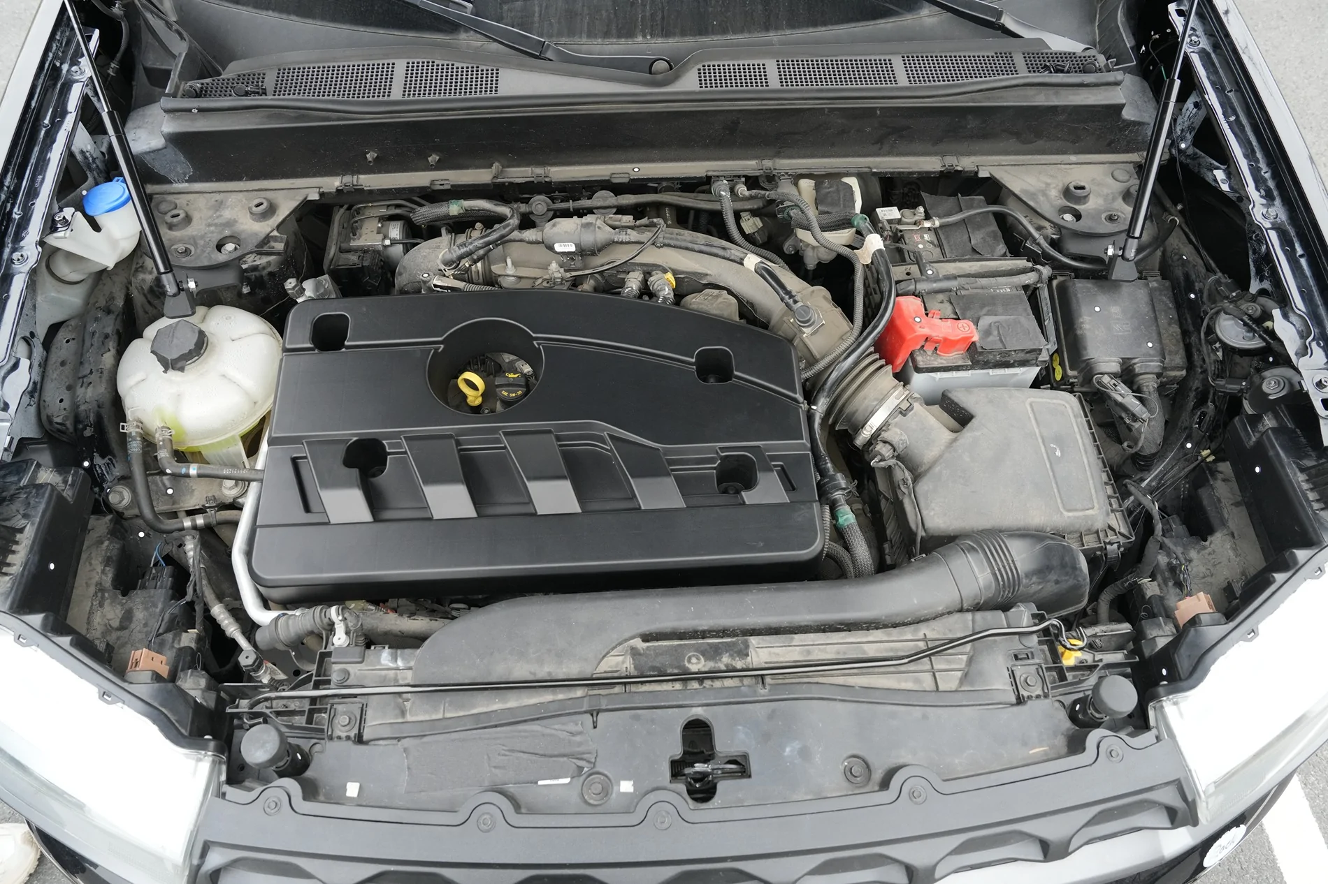 _DSC3437.webp