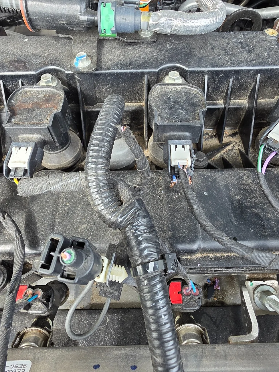 Ford Maverick Rodent vs soy based wiring 17760969679645753845922050038122