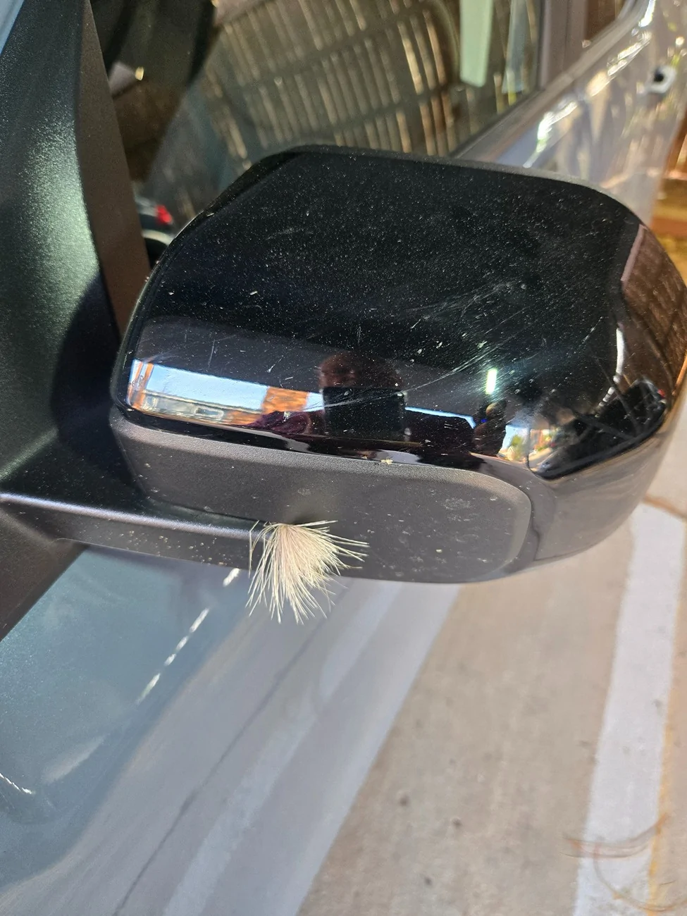 Ford Maverick Got broadsided by a deer this morning. 20260413_175959