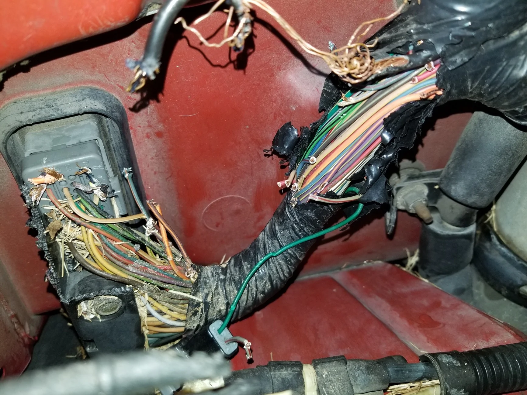 Ford Maverick Rodent vs soy based wiring 20210719_193841_resized