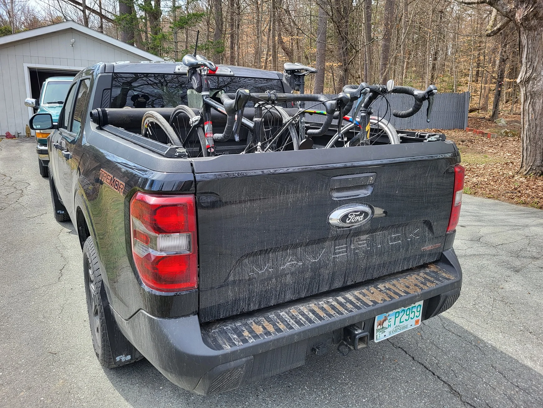 Ford Maverick 2- Bicycle Bed Mount - Any Thoughts? 1000021681