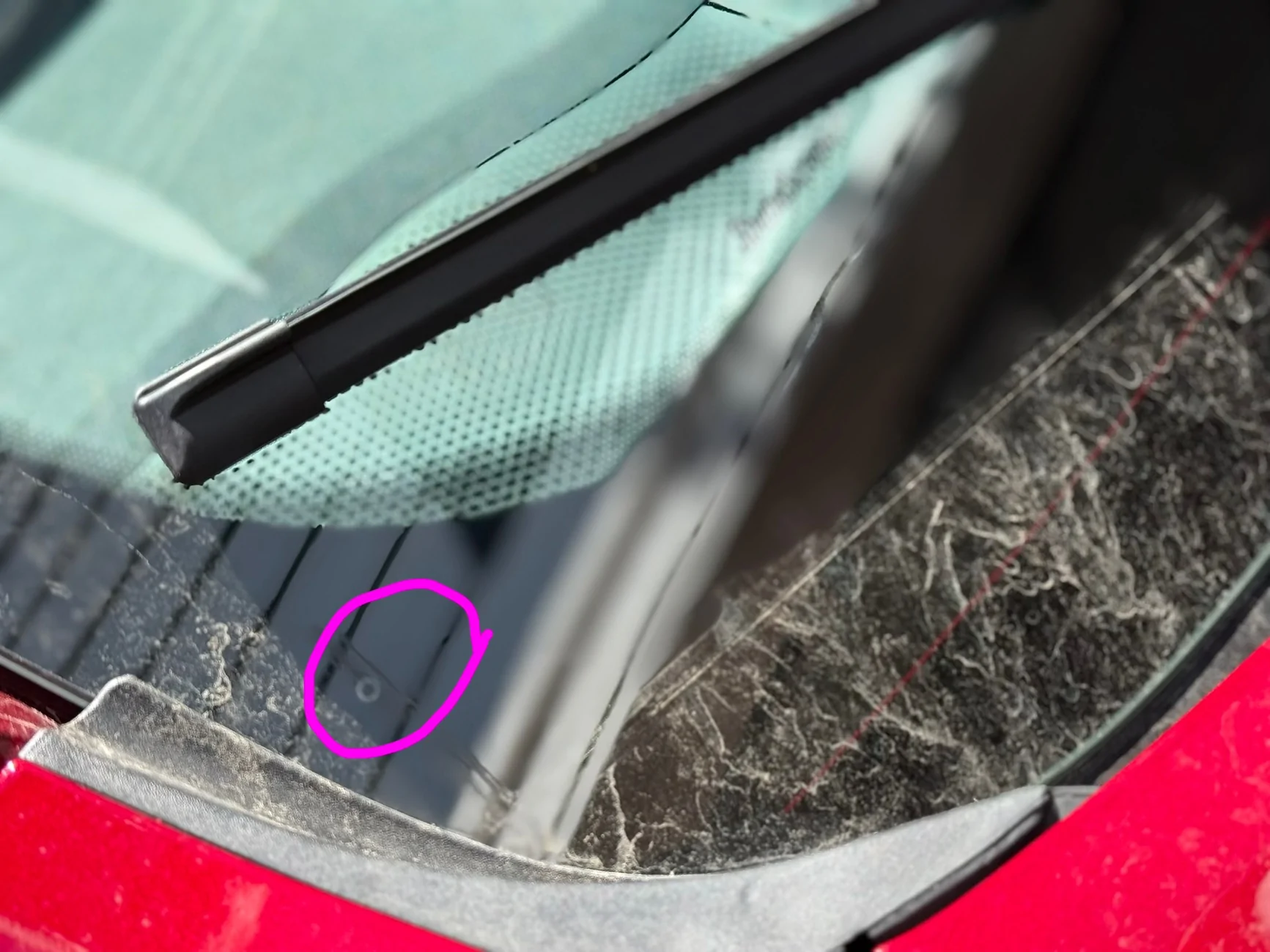 Ford Maverick Passenger Wiper Not Returning to Home/Rest Position IMG_9446