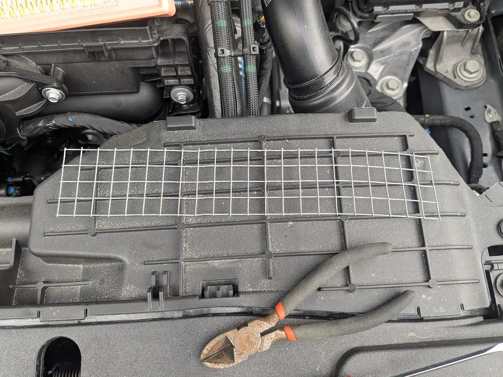 Ford Maverick Mice in my Air Box 55244894368_861f01e508_