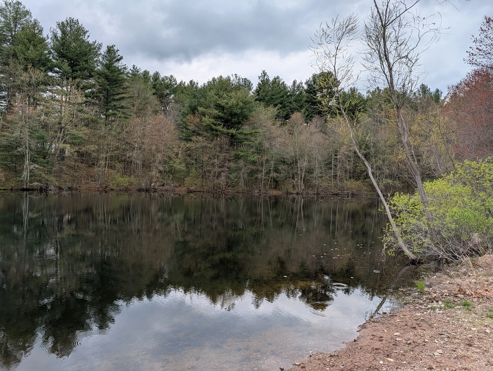 PXL_20260502_151635225.webp