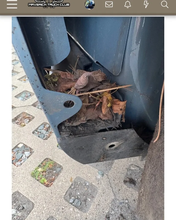Ford Maverick Rain Water in Driver's Side Floorboard 20260508_114237