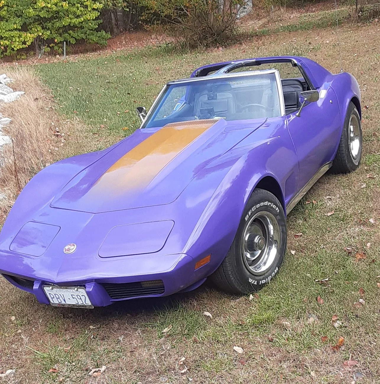 Ford Maverick Plum crazy Maverick? or Lime Light? Purple75Corvett