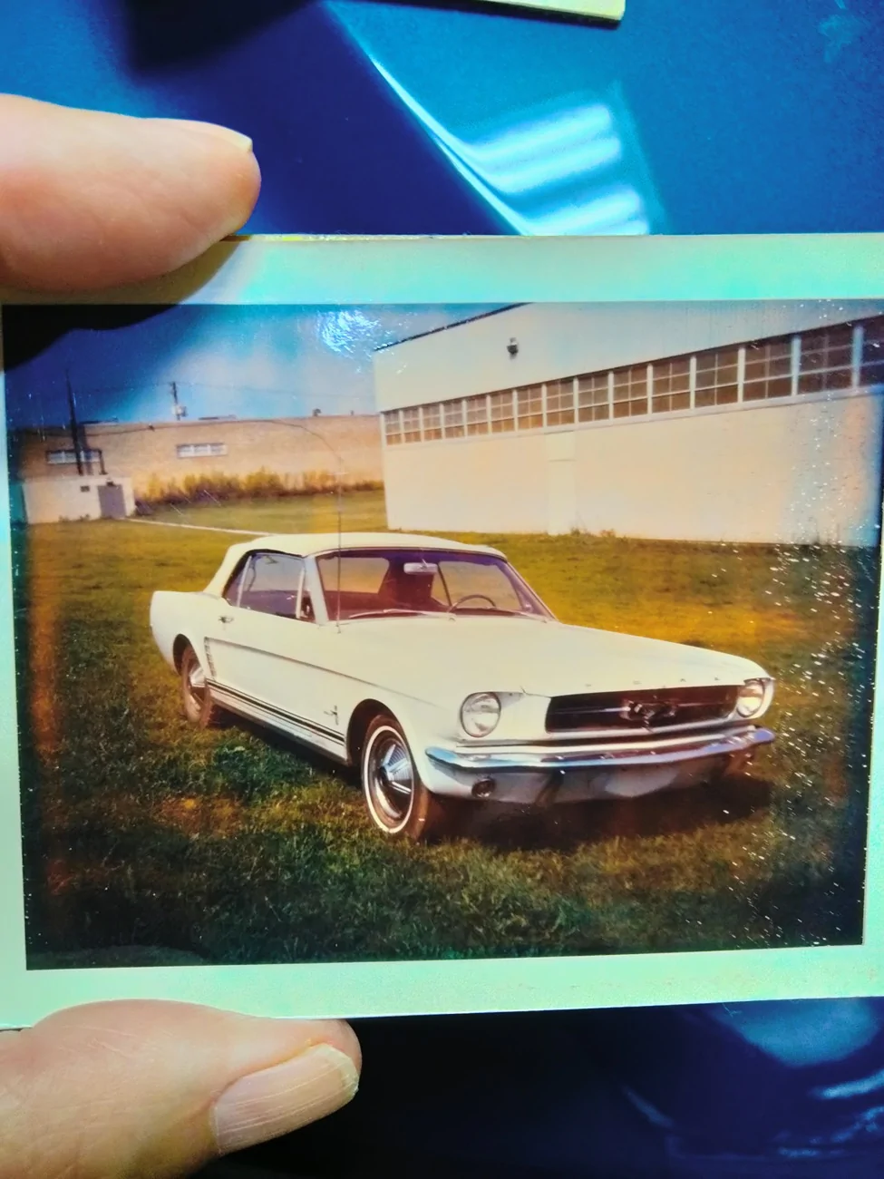 Ford Maverick LIGHT BLUE Maverick Photos Thread IMG20260430133642