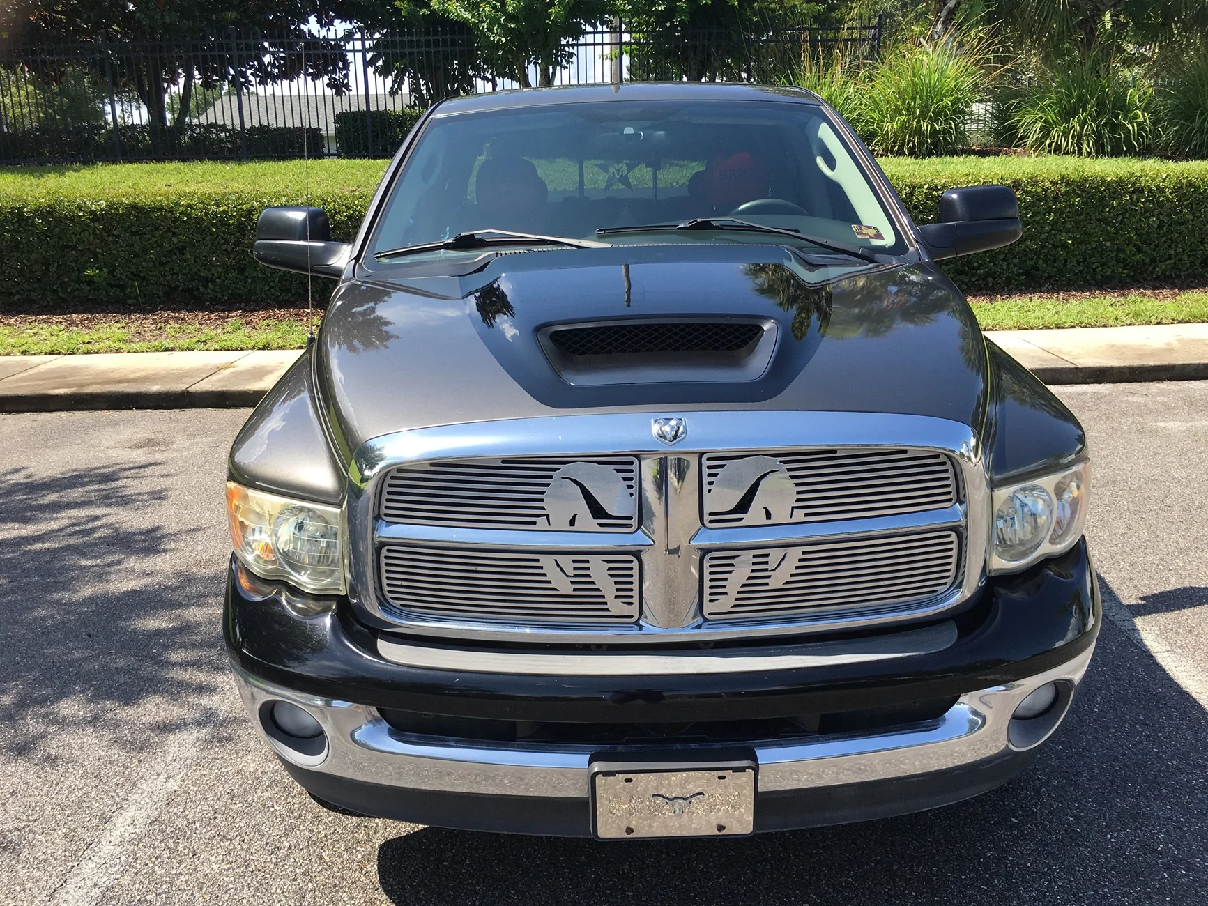 Ford Maverick taking a poll on hood scoop yay or nay ? IMG_0607