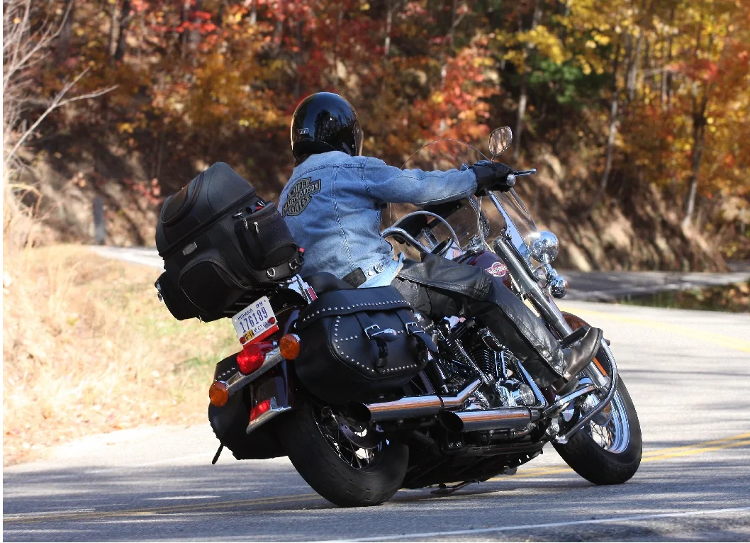 Ford Maverick Sunroof Option Softail Dragon