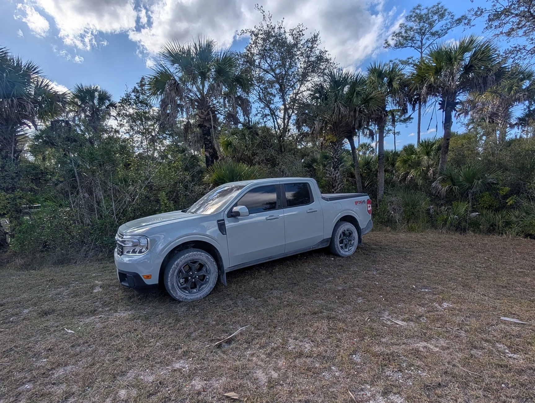Ford Maverick CACTUS GRAY Maverick Photos Thread 20264